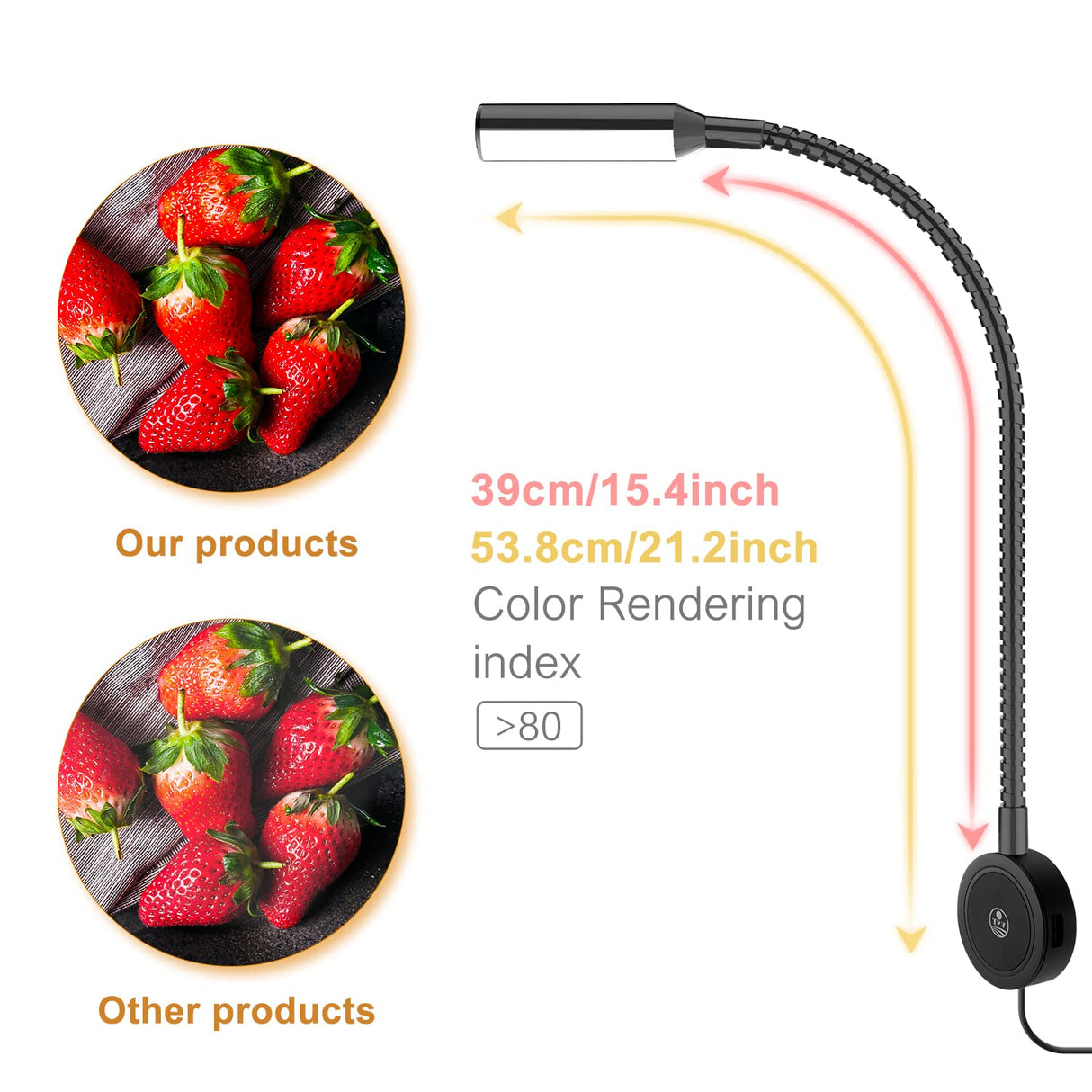 RL18 12V LED Reading Light, 14.1W with Adjustable CCT 2700K–6500K Wall Mounted Book Light with USB Charging Port for Bedrooms, Hotels