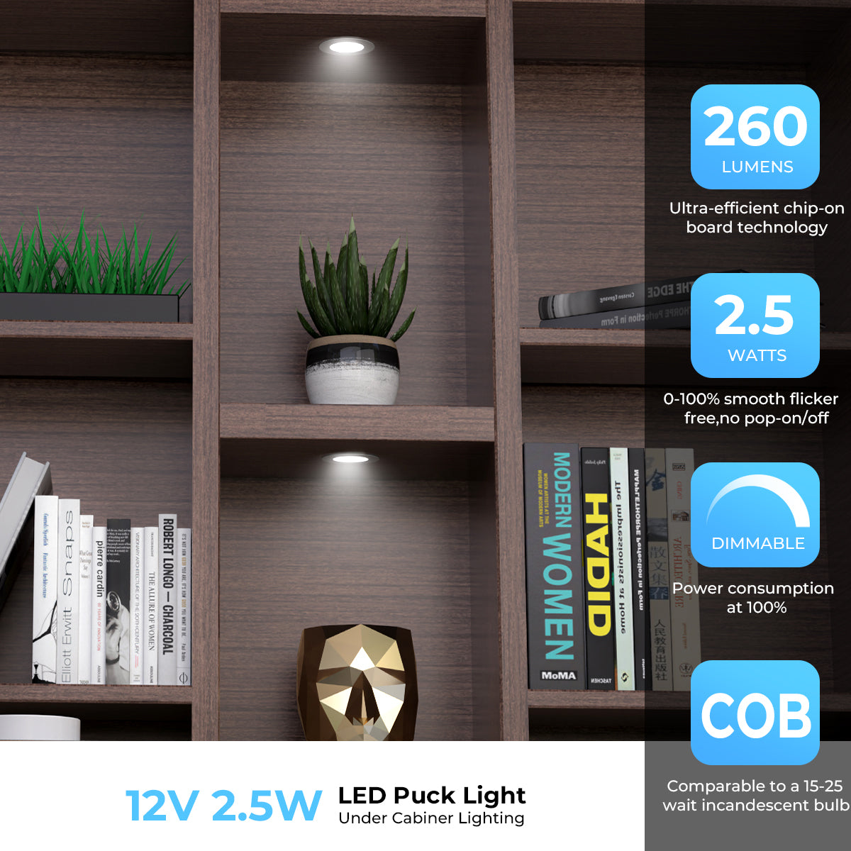 CB29 12V 2.5W Recessed or Surface Mounted Undercabinet 3000K LED Puck Light for Kitchen Living Room and Undercabinet