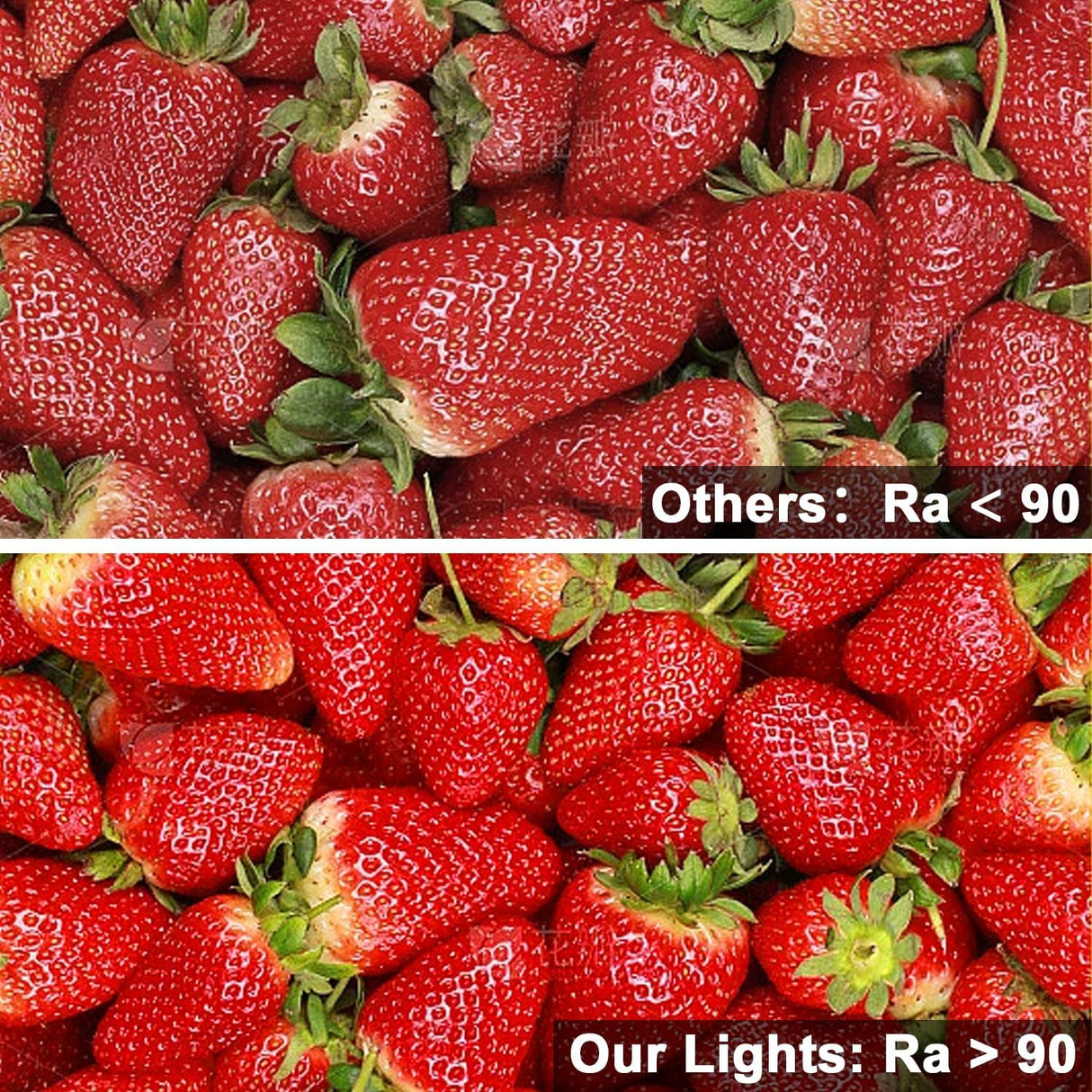 FB07 8mm Cuttable COB LED Strip Light 12V 9.6W/m UL Listed Light Strips 4000K CRI 90+ for Kitchen and Wardrobe