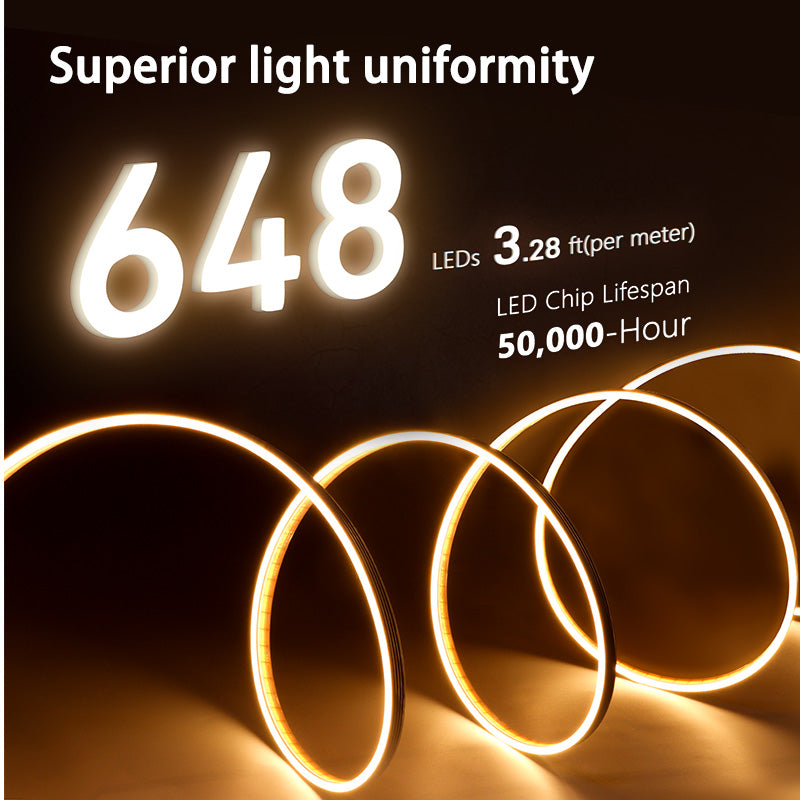 NS03 Silicon Strip Light, 12V 9.6W/m 16.4ft 4*10mm, 2700K-5000K