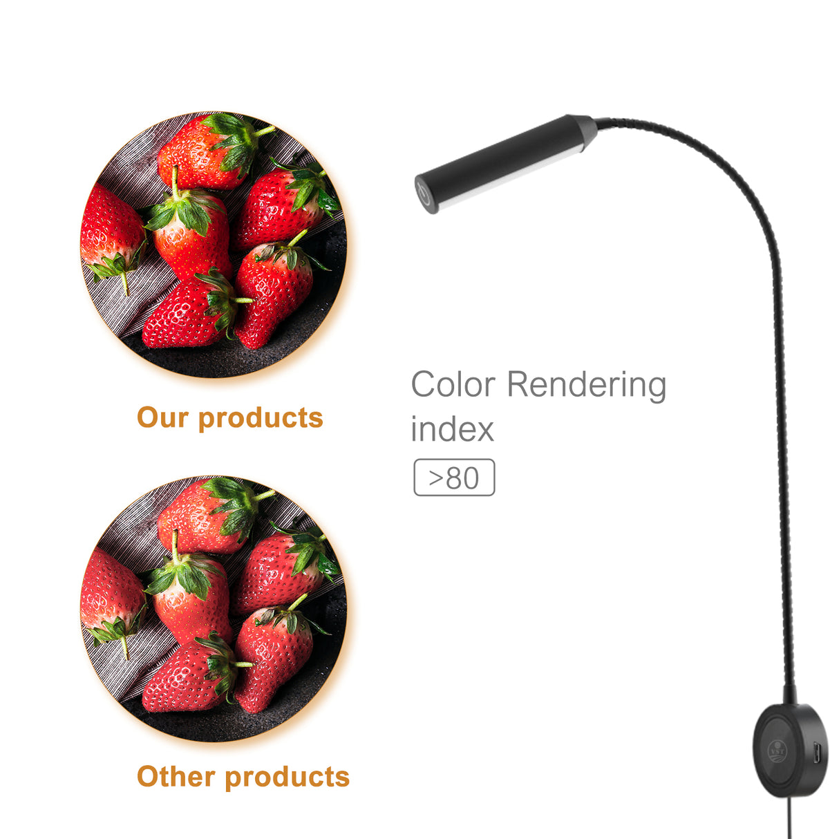 RL18 12V LED Reading Light, 14.1W with Adjustable CCT 2700K–6500K Wall Mounted Book Light with USB Charging Port for Offices, Dormitories(2 Packs)