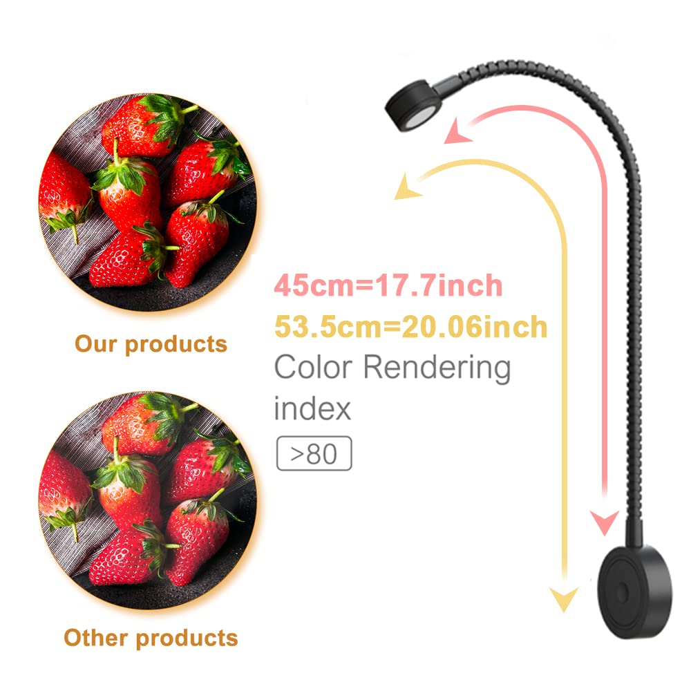 RL11 12V LED Reading Light 13W with 3000K Warm White, Wall Mounted Book Light with USB Charging Port for Bedrooms, Offices, Dormitories & Hotels(2 Packs)