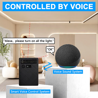 WB01-C Black Smart Voice Control System (Multi-white) with Alexa Google Assistant App Remote Control for Kitchen Under Counter, Display Case