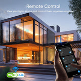 WB01-C Smart CCT Voice Activated Controller with Touch, App Switch & Remote Control