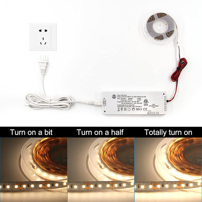 12V White LED Driver Dimmable,with 5.9ft Removable AC Cord & JST connecter Port,White