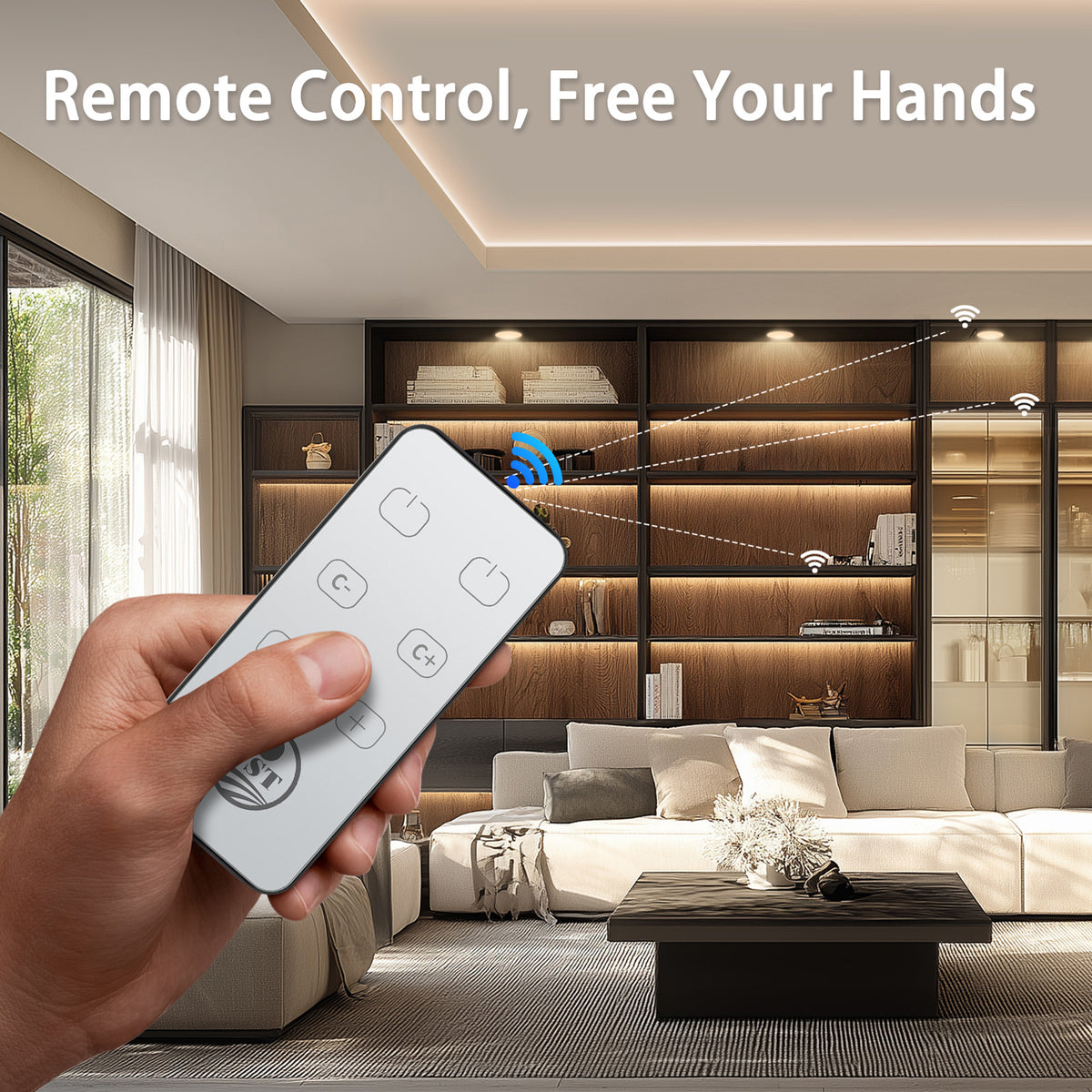 Led Light Switch Receiver TS24 Remote Switch and WL05-B Signal Receiver for Dual Color Temperatu ...
